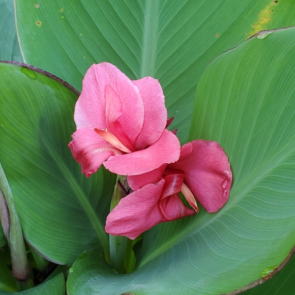 Welcome To My Closet - Picture 7 of 16